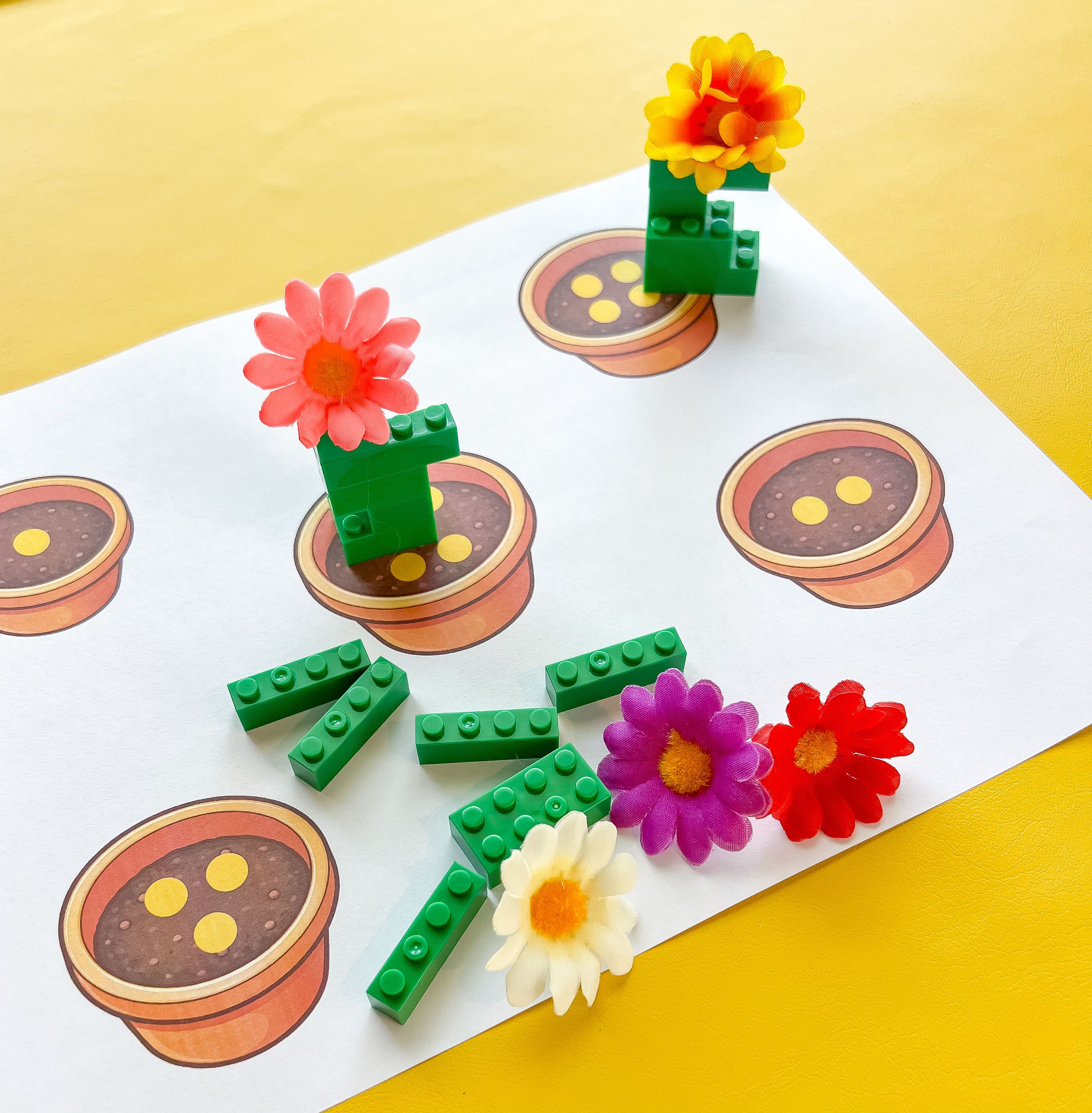 May Toddler Box Subscription