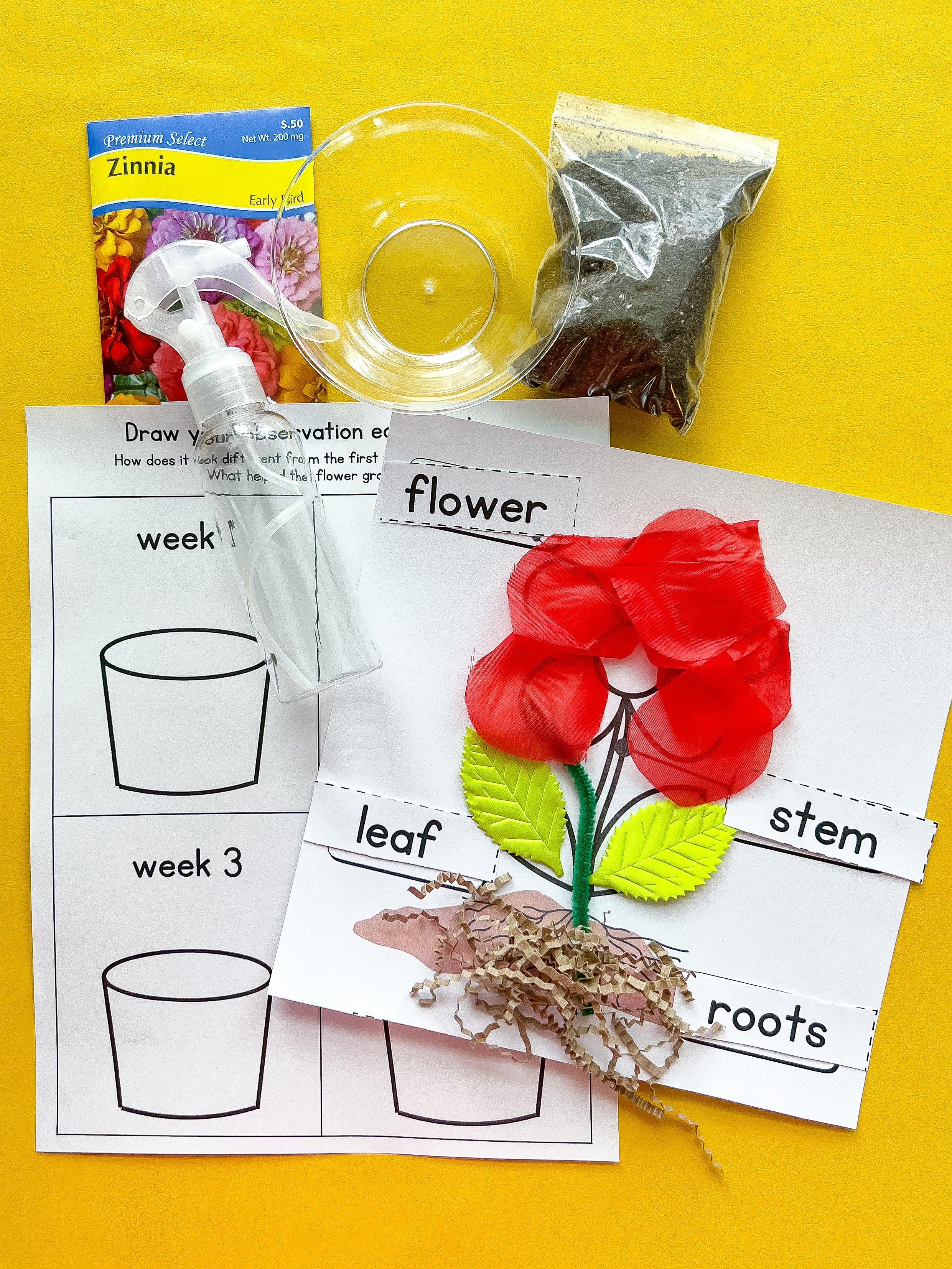 May PreK Box Subscription