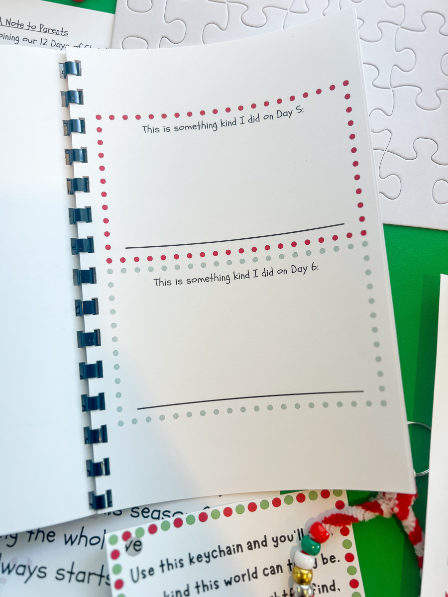 The Kindness Elf Kit