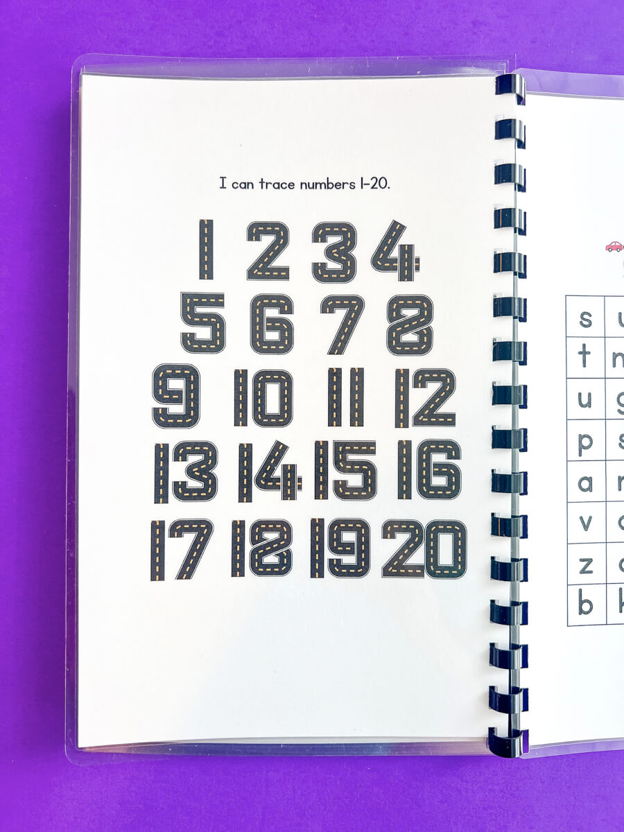 Wheels and Brains In Motion