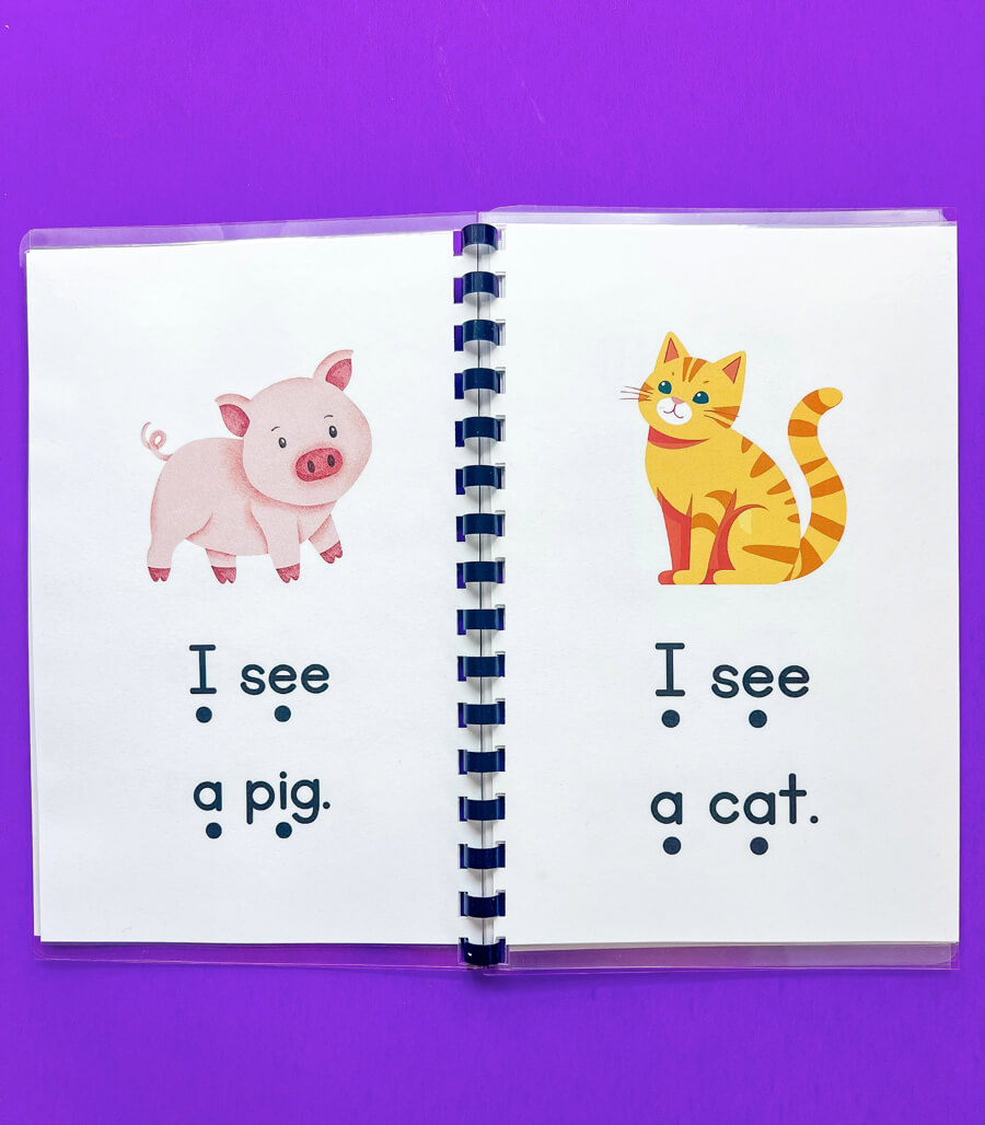 Emergent Reader Beginner Books Set of 5