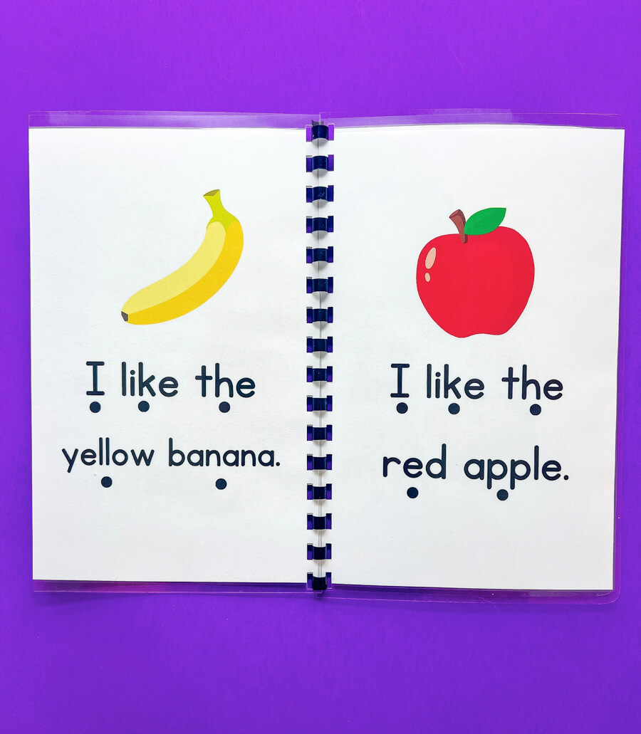 Emergent Reader Beginner Books Set of 5